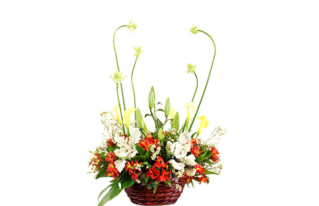 vase26